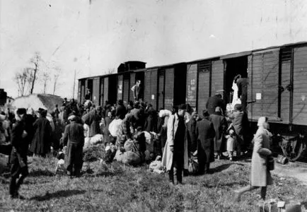 Auschwitz șocant adevăr - fapte fotografie lume