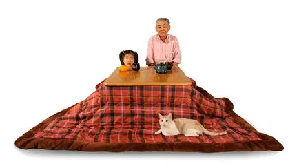 Традиционни японски мебели kotatsu