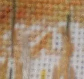Вишиваємо методом парковки (зліва верхньому ряду) Вишиваємо методом парковки