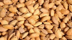 У яких продуктах міститься рибофлавін (вітамін b2) таблиця зі списком продуктів