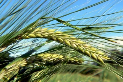 Включи в свій раціон ці продукти! Вони багаті вітамінами і мікроелементами