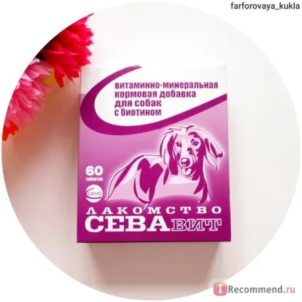 Вітаміни сівби для собак з біотином - «вітамінно-мінеральна добавка сівби - смачне і корисне (вітаміни) Вітаміни сівби для собак з біотином - «вітамінно-мінеральна добавка сівби - смачне і корисне