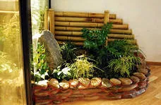 Croton, termesztés, gondozás és a reprodukció az otthoni, Virágbolt Consulting