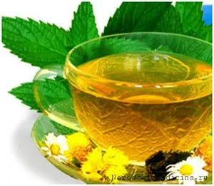 Proprietăți medicinale de ceai verde