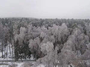 замразяване дъжд