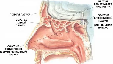 Kezelése sinusitis felnőttek komplex módszerekkel