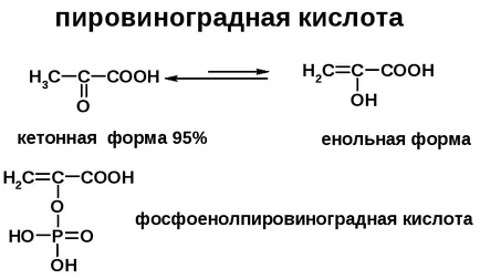 Лекция хетерофункционалните Port