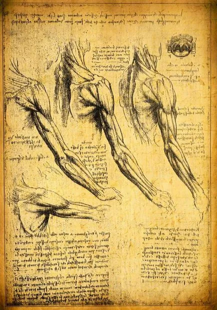 Leonardo da Vinci