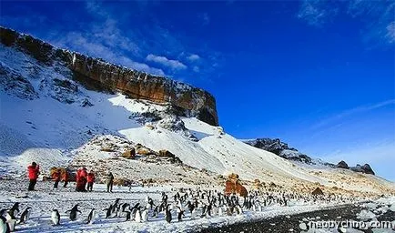 По-добри планини могат да бъдат само на плата