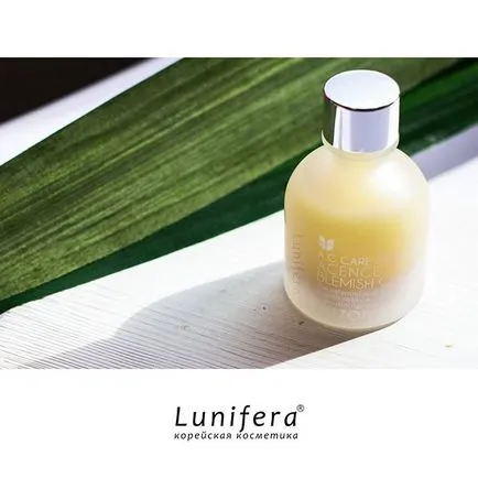 Top koreai haj termékek, lunifera