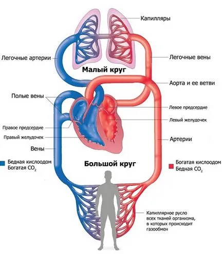 Sugárkezelés és post-sugárzás cystitis diagnózis és kezelés jellemzői