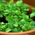 Як підготувати будинок до продажу