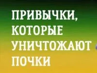 Як пиво впливає на нирки, його користь і шкода для організму (нирки) Як пиво впливає на нирки, його користь і шкода для організму