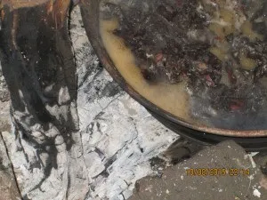 Як підготувати кору для орхідей, кімнатні квіти (як підготувати кору для орхідей в домашніх умовах) Як підготувати кору для орхідей, кімнатні квіти