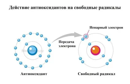 Як перемогти старість