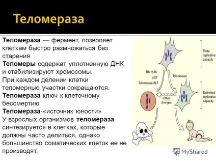 Як перемогти старість