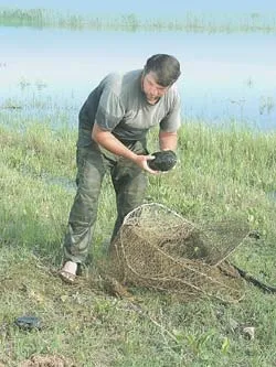 Увага, черепаха, наука і життя (історіяУкаіни) Увага, черепаха, наука і життя