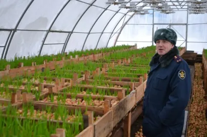 У неволі деяким краще, ніж удома (краще) У неволі деяким краще, ніж удома