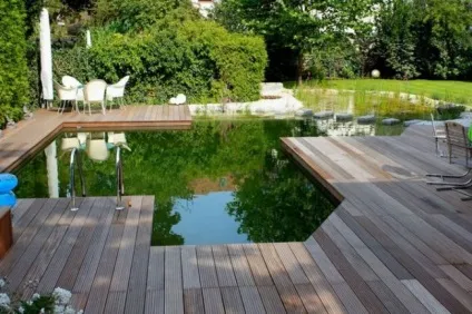 Водойма на ділянці очищення природного ставка, купальня з водоймою, рослини для ставка, берега,