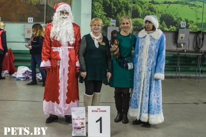 У Мінську відбулася республіканська виставка собак всіх порід «різдвяні зустрічі - 2016»