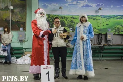 У Мінську відбулася республіканська виставка собак всіх порід «різдвяні зустрічі - 2016»