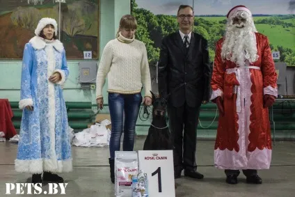 У Мінську відбулася республіканська виставка собак всіх порід «різдвяні зустрічі - 2016»