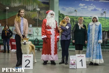 У Мінську відбулася республіканська виставка собак всіх порід «різдвяні зустрічі - 2016»