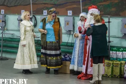 У Мінську відбулася республіканська виставка собак всіх порід «різдвяні зустрічі - 2016»