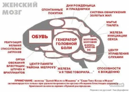 Чи можлива пересадка людського мозку (мозку) Чи можлива пересадка людського мозку