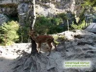 Miere Cascade, Kislovodsk, Karaciai-Cerchezia, de conducere directii, fotografii, adresă, site-ul oficial -