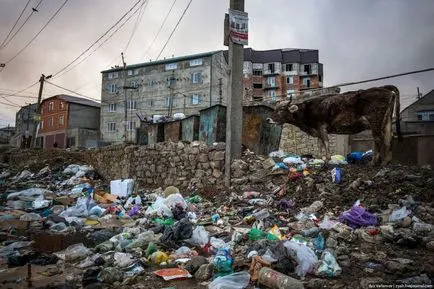 Mahachkala - capitala de gunoi din România (47 poze) - triniksi