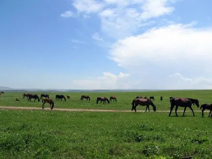 Мед Водопади в Кисловодск, Mount Ring