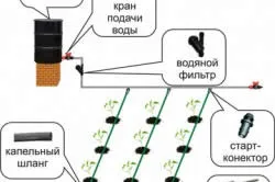 Mikro-öntözés fő összetevői a rendszer, a telepítés a saját kezét