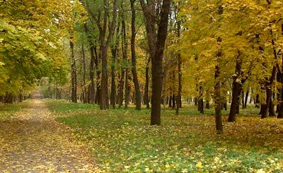 А място за фотосесия в Ростов на Дон