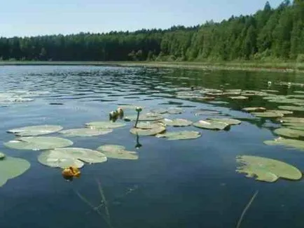 Места на властта в Сибир