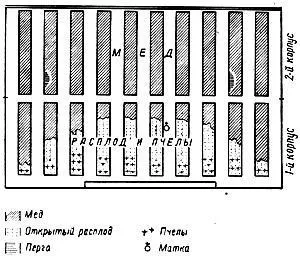 Многокорпусни кошери с ръце на рамката 145 и 230 (снимка)