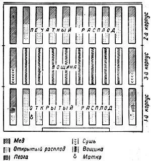 Многокорпусни кошери с ръце на рамката 145 и 230 (снимка)