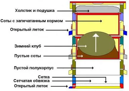 Многокорпусни кошери с ръце на рамката 145 и 230 (снимка)