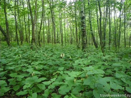 Мій вільний час (Гремячий ключ як дістатися) Мій вільний час