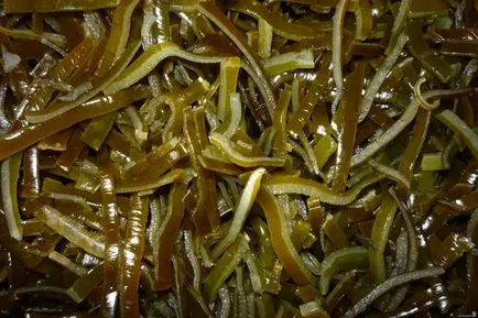 Морська капуста користь і шкода