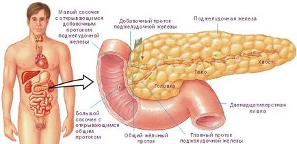 RMN-ul Cholangiography - ceea ce este