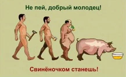 Народні засоби від пияцтва (народні засоби від пияцтва) Народні засоби від пияцтва