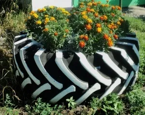 Все для саду та городу своїми руками створення і прикраса клумб, варіанти конструювання зборів і (городу) Все для саду та городу своїми руками створення і прикраса клумб, варіанти конструювання зборів і