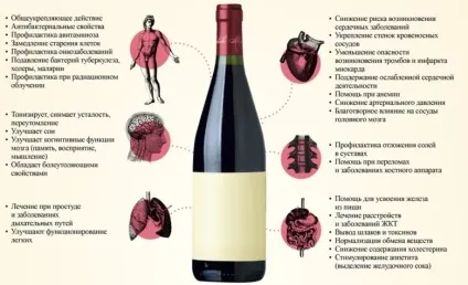 Вся користь і шкода домашнього вина (Користь домашнього вина) Вся користь і шкода домашнього вина