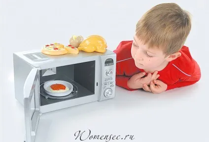 Чи шкідливо розігрівати їжу в мікрохвильовці дитині (їжу) Чи шкідливо розігрівати їжу в мікрохвильовці дитині