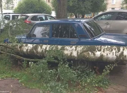 В товариський області без електрики залишилися 10 тисяч жителів (залишилися) В товариський області без електрики залишилися 10 тисяч жителів