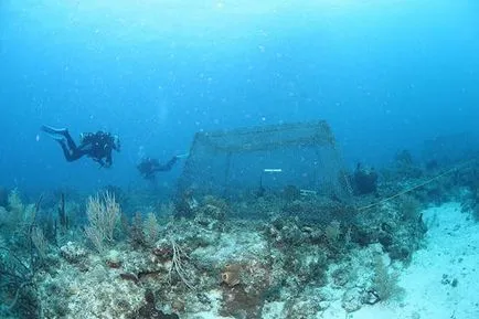 Élőerős alatti laboratórium Aquarius - hírek képekben