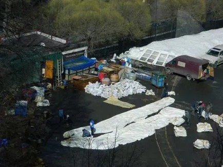 A hátoldalon a dolphinarium és hogyan állatokat tartanak a túra során - vegán