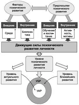 Datorită particularităților dezvoltării personalității