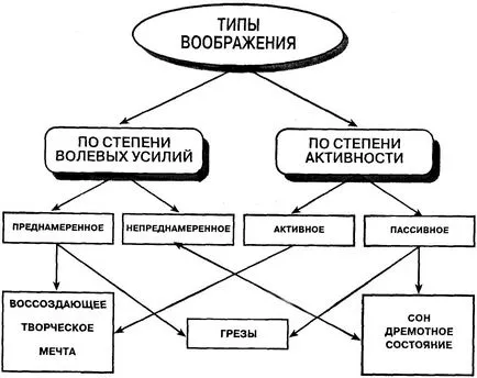 Caracteristicile generale ale imaginației și rolul său în activitatea mentală